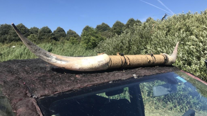 Může nejošklivější auto všech dob vypadat ještě hůře? Posuďte sami