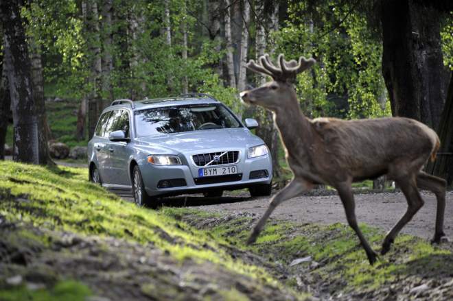 Volvo pracuje na systému, který má zabránit kolizím se zvěří (+ video)